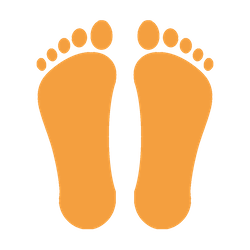 Flat feet info